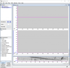 Copy-Paste Sound Clips – Cornell Lab of Ornithology – Cornell University
